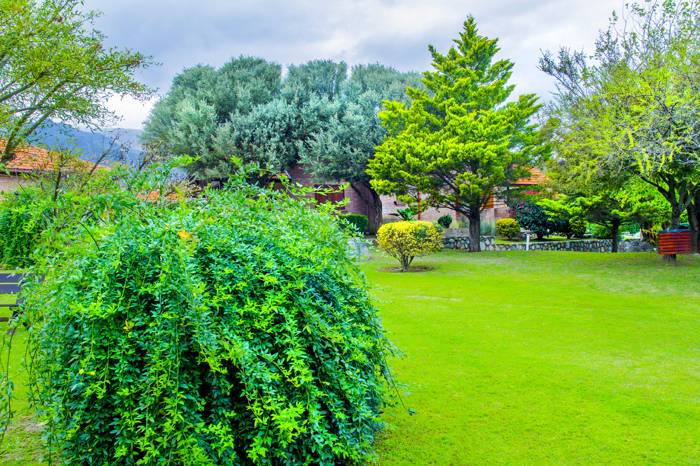 Parque
